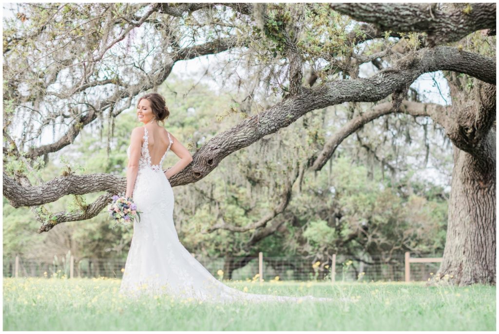 Back of Bride's Dress at The Oaks at Oak Plantation