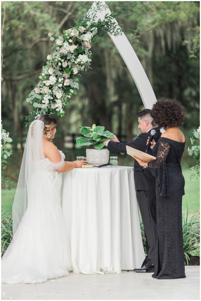 Wedding ceremony with a tree being planted in dirt from the first date