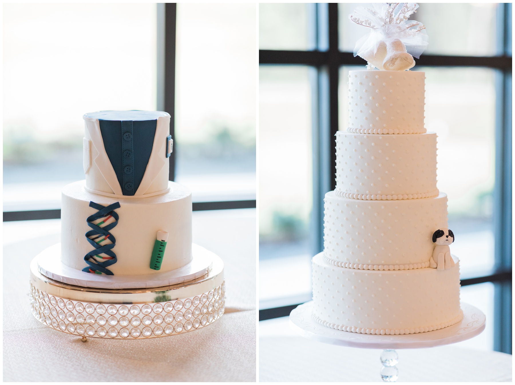 Doctor inspired wedding cake